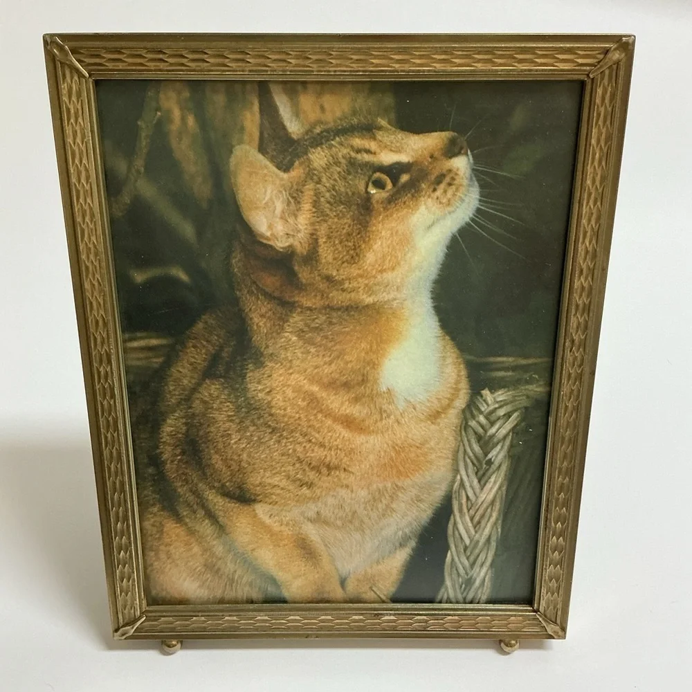 Vintage Gold Metal Picture Frame 8x10 Cat Print Standing Easel Ball Feet 60s MCM